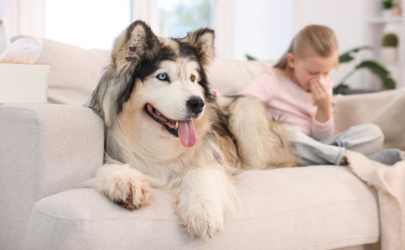 How Your HVAC System Affects the Air You Breathe